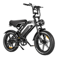 V20 Pro 9.0 Fatbike – Hydraulische Remmen
