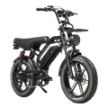 V20 Pro Limited Fatbike – Hydraulische Remmen