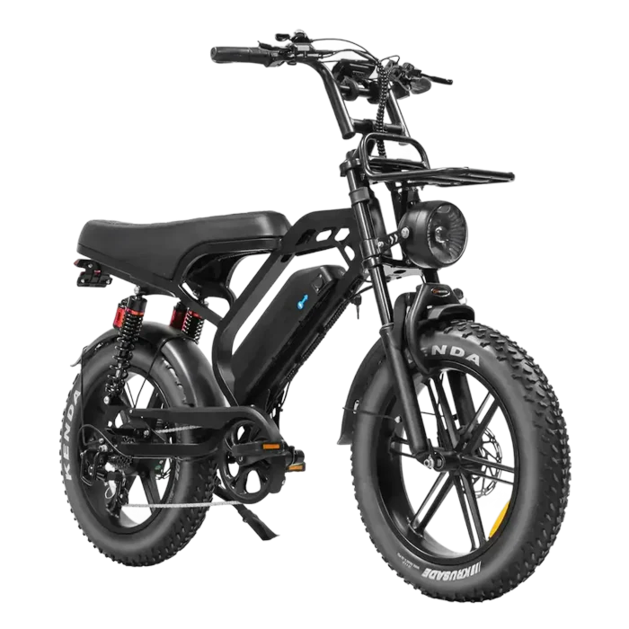 V20 Pro Limited Fatbike – Hydraulische Remmen