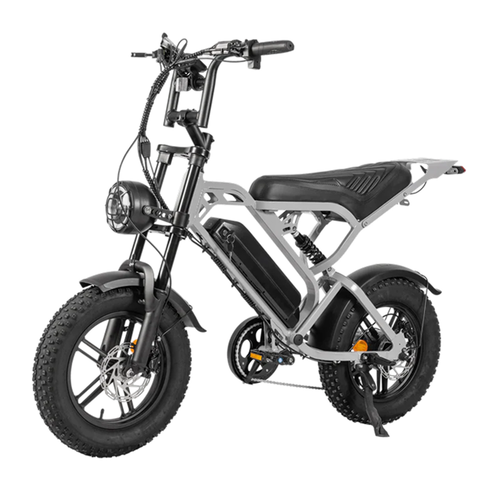 V20 Pro Mini Fatbike – Hydraulische Remmen