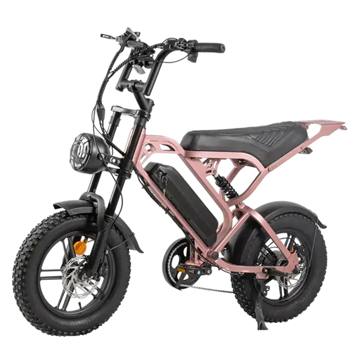 V20 Pro Mini Fatbike – Hydraulische Remmen