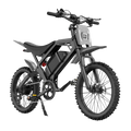 V20 Cross Fatbike