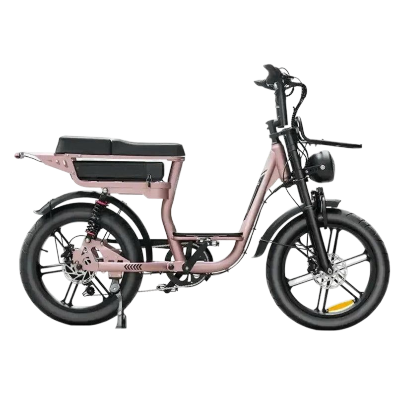 V20 Pro Comfort Fatbike  – Hydraulische Remmen – Lage Instap