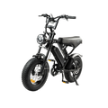 V20 Pro Mini Fatbike – Hydraulische Remmen